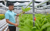 Kỹ sư bỏ lương 15 triệu ở công ty nước ngoài về làm nông dân Kỹ sư bỏ lương 15 triệu ở công ty nước ngoài về làm nông dân