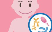 Cần quan tâm đến tỉ lệ lợi khuẩn sống sót khi bổ sung men vi sinh cho trẻ Cần quan tâm đến tỉ lệ lợi khuẩn sống sót khi bổ sung men vi sinh cho trẻ