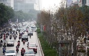 Hà Nội: Hàng phong trên đường Trần Duy Hưng chưa kịp chuyển màu đỏ đã bất ngờ héo úa Hà Nội: Hàng phong trên đường Trần Duy Hưng chưa kịp chuyển màu đỏ đã bất ngờ héo úa