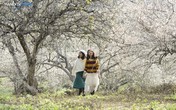 Các hãng lữ hành “cháy” tour Tết Dương lịch 2019 Các hãng lữ hành “cháy” tour Tết Dương lịch 2019