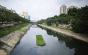 Giấc mơ phát triển du lịch trên sông Tô Lịch?! Giấc mơ phát triển du lịch trên sông Tô Lịch?!