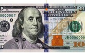 Nghệ An: Một người dân bị phạt 40 triệu đồng vì mua bán 100 USD Nghệ An: Một người dân bị phạt 40 triệu đồng vì mua bán 100 USD