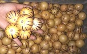 Bỏ quên nỗi lo hoa quả Trung Quốc, dân Việt tranh nhau mua ăn thử Bỏ quên nỗi lo hoa quả Trung Quốc, dân Việt tranh nhau mua ăn thử