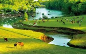 Thâm cung bí sử (128 - 1): Hai nửa quê hương Thâm cung bí sử (128 - 1): Hai nửa quê hương