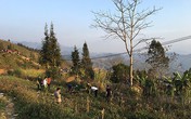 Một chiến sĩ Công an hi sinh trong ngày Mùng 2 Tết Một chiến sĩ Công an hi sinh trong ngày Mùng 2 Tết