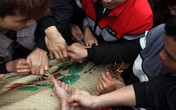 Hàng trăm thanh niên giẫm đạp, cướp chiếu cầu quý tử trong lễ hội 'Đúc Bụt' đầu năm Hàng trăm thanh niên giẫm đạp, cướp chiếu cầu quý tử trong lễ hội 'Đúc Bụt' đầu năm