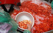 Lùng khắp miền Bắc gom 5 tấn chép đỏ: Chờ 1 dịp lãi 100 triệu Lùng khắp miền Bắc gom 5 tấn chép đỏ: Chờ 1 dịp lãi 100 triệu