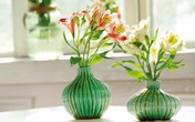 Chơi hoa, cây cảnh tết sao hút “tài lộc”? Chơi hoa, cây cảnh tết sao hút “tài lộc”?