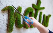 Không ai hiểu vì sao cô gái "rảnh" quét rêu, sữa chua lên tường cho đến khi thấy thành quả Không ai hiểu vì sao cô gái "rảnh" quét rêu, sữa chua lên tường cho đến khi thấy thành quả