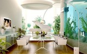 Những việc làm nhỏ có thể khiến gia chủ gặp họa trong năm mới Những việc làm nhỏ có thể khiến gia chủ gặp họa trong năm mới