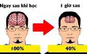 Lý do chúng ta luôn "học trước quên sau" và bí kíp để ghi nhớ "siêu" như máy tính Lý do chúng ta luôn "học trước quên sau" và bí kíp để ghi nhớ "siêu" như máy tính