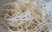 Mẹ Hà Nội mách cách làm giá đỗ cực nhàn cho người "lười" chỉ bằng chiếc túi lưới bọc quả Mẹ Hà Nội mách cách làm giá đỗ cực nhàn cho người "lười" chỉ bằng chiếc túi lưới bọc quả