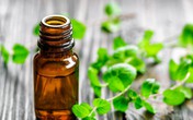 Lợi ích tuyệt vời của các loại tinh dầu với sức khỏe và làm đẹp Lợi ích tuyệt vời của các loại tinh dầu với sức khỏe và làm đẹp