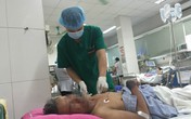 Hơn 1 tháng, 9 ca vào viện vì liên cầu khuẩn lợn Hơn 1 tháng, 9 ca vào viện vì liên cầu khuẩn lợn
