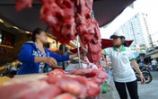 Thịt bò 60.000 đồng/kg là thịt... heo nái và thịt trâu? Thịt bò 60.000 đồng/kg là thịt... heo nái và thịt trâu?