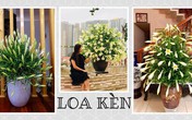 Muôn kiểu cắm hoa loa kèn tháng tư đẹp tinh khôi của các chị em Muôn kiểu cắm hoa loa kèn tháng tư đẹp tinh khôi của các chị em