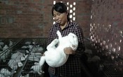 Người phụ nữ kiếm 200 triệu/năm nhờ liều lĩnh Người phụ nữ kiếm 200 triệu/năm nhờ liều lĩnh