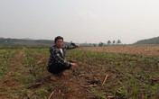 Huyện Nông Cống (Thanh Hoá): Dân khóc ròng vì dự án bò sữa dở dang Huyện Nông Cống (Thanh Hoá): Dân khóc ròng vì dự án bò sữa dở dang