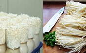 Tự trồng nấm kim châm tại nhà rất dễ, 2 tuần là ăn "đã đời", tội gì không trồng ngay Tự trồng nấm kim châm tại nhà rất dễ, 2 tuần là ăn "đã đời", tội gì không trồng ngay