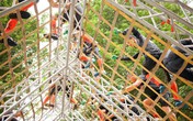 Kỳ nghỉ lễ 30.4 kỳ thú với game nhập vai thực tế ngoài trời lớn nhất miền Bắc Kỳ nghỉ lễ 30.4 kỳ thú với game nhập vai thực tế ngoài trời lớn nhất miền Bắc