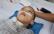 Éo le hoàn cảnh bé 5 tuổi nằm bất động chỉ sau một trận sốt cao Éo le hoàn cảnh bé 5 tuổi nằm bất động chỉ sau một trận sốt cao