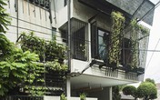 Nhà trọ như ốc đảo xanh gây sốt vì thiết kế vừa đẹp vừa thân thiện với môi trường Nhà trọ như ốc đảo xanh gây sốt vì thiết kế vừa đẹp vừa thân thiện với môi trường