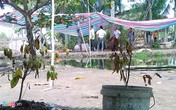 Khai quật mộ tìm nguyên nhân thanh niên 28 tuổi thiệt mạng Khai quật mộ tìm nguyên nhân thanh niên 28 tuổi thiệt mạng