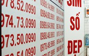 Vì sao SIM 11 số đột ngột tăng giá chóng mặt? Vì sao SIM 11 số đột ngột tăng giá chóng mặt?
