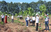 Doanh nghiệp đồng hành bảo vệ môi trường tại Đồng Nai Doanh nghiệp đồng hành bảo vệ môi trường tại Đồng Nai