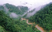 Thâm cung bí sử (145 - 4): Nơi cái chết cận kề Thâm cung bí sử (145 - 4): Nơi cái chết cận kề