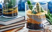 Khiến nhà thêm mới mẻ bằng cách trồng cây trong những bình cát màu độc đáo Khiến nhà thêm mới mẻ bằng cách trồng cây trong những bình cát màu độc đáo