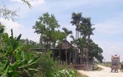 Vụ đôi vợ chồng thoi thóp sau đám cháy: Người chồng cũng không qua khỏi Vụ đôi vợ chồng thoi thóp sau đám cháy: Người chồng cũng không qua khỏi