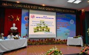 4 vị thuốc quý xóa tan nỗi lo đột quỵ cho người cao huyết áp 4 vị thuốc quý xóa tan nỗi lo đột quỵ cho người cao huyết áp