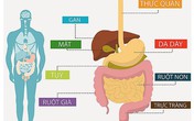 Tầm soát ung thư tiêu hóa để ung thư không còn là mối nguy khó lường Tầm soát ung thư tiêu hóa để ung thư không còn là mối nguy khó lường