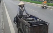 Nỗi niềm mưu sinh trước nguy cơ “xóa sổ” làng nghề than tổ ong Nỗi niềm mưu sinh trước nguy cơ “xóa sổ” làng nghề than tổ ong
