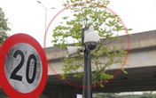 “Xe dù, bến cóc” sắp hết đất sống nhờ công nghệ 4.0? “Xe dù, bến cóc” sắp hết đất sống nhờ công nghệ 4.0?