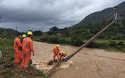 Ngành Điện lực khắc phục sự cố thiên tai sau bão số 3 Ngành Điện lực khắc phục sự cố thiên tai sau bão số 3