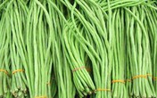 Rùng mình những loại rau củ sắp thối lại được tiểu thương "hồi sinh" bằng hóa chất Rùng mình những loại rau củ sắp thối lại được tiểu thương "hồi sinh" bằng hóa chất