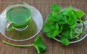 Những cách hạ nhiệt cơ thể khi nhiệt độ ngoài trời quá cao Những cách hạ nhiệt cơ thể khi nhiệt độ ngoài trời quá cao