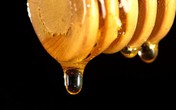 Mật ong là loại kem dưỡng ẩm tốt nhất để đối phó với mụn trứng cá và khô da Mật ong là loại kem dưỡng ẩm tốt nhất để đối phó với mụn trứng cá và khô da