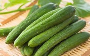 Tội gì không trồng vài giàn dưa leo sạch tại nhà vì chỉ 1 tháng là thu hoạch Tội gì không trồng vài giàn dưa leo sạch tại nhà vì chỉ 1 tháng là thu hoạch