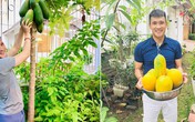 Vợ chồng Công Vinh - Thủy Tiên tươi rói khoe những lần hái quả sai trĩu trong vườn nhà Vợ chồng Công Vinh - Thủy Tiên tươi rói khoe những lần hái quả sai trĩu trong vườn nhà