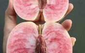 Đào 'Tôn Ngộ Không' xách tay giá cao gấp 5 lần hàng chợ Đào 'Tôn Ngộ Không' xách tay giá cao gấp 5 lần hàng chợ