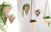 Những bộ chậu trồng cây trong nhà khiến các nông dân nhà phố mê mẩn Những bộ chậu trồng cây trong nhà khiến các nông dân nhà phố mê mẩn
