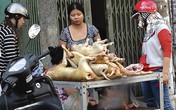 Người Hà Nội hiến kế để “nói không” với thịt chó Người Hà Nội hiến kế để “nói không” với thịt chó
