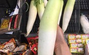 Bỏ 10 triệu đồng mua củ cải khổng lồ: Chế đủ món ăn dần Bỏ 10 triệu đồng mua củ cải khổng lồ: Chế đủ món ăn dần