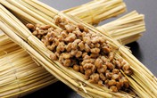 Khám phá bí quyết chống đột quỵ 125 năm của người Nhật Khám phá bí quyết chống đột quỵ 125 năm của người Nhật