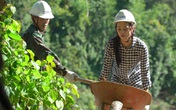 Hoa hậu Trần Tiểu Vy đào đất cùng bộ đội biên phòng Hoa hậu Trần Tiểu Vy đào đất cùng bộ đội biên phòng