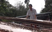 Làng nghề bánh tráng trăm năm vào vụ Tết Làng nghề bánh tráng trăm năm vào vụ Tết