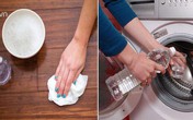Dọn nhà sạch bong kin kít đón Tết chỉ tốn vài nghìn đồng Dọn nhà sạch bong kin kít đón Tết chỉ tốn vài nghìn đồng